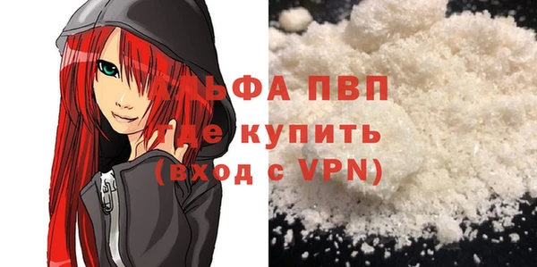 PSILOCYBIN Вяземский