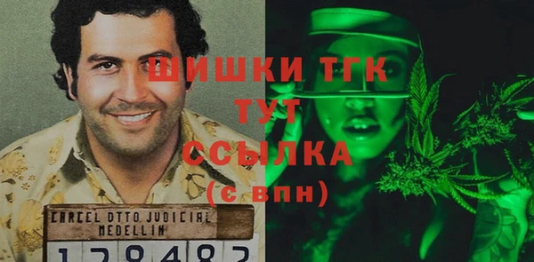PSILOCYBIN Вяземский