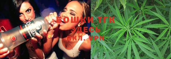 PSILOCYBIN Вяземский