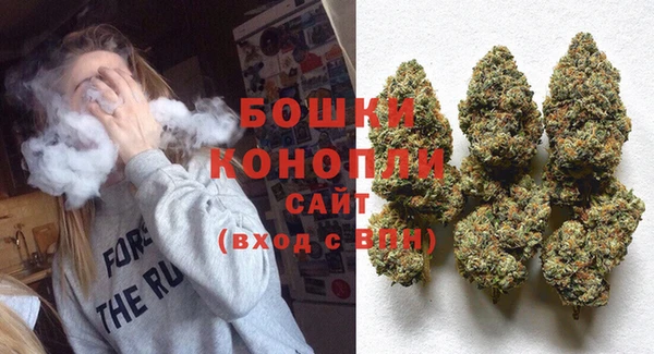 PSILOCYBIN Вяземский
