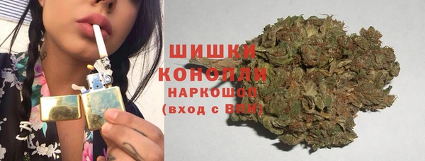 PSILOCYBIN Вяземский