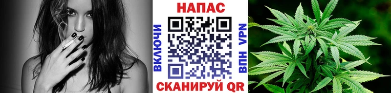 Купить  Ликино-Дулёво  Каннабис сатива 